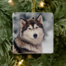 Search for alaskan malamute ornaments Snow dog