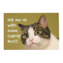 Search for funny cat mats Humor