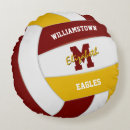 Search for volleyball pillows Sports