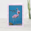 Search for funny flamingo Birds