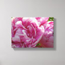 Search for floral canvas prints Pink roses