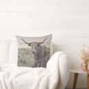 Search for longhorns pillows Cattle
