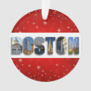 Search for boston ornaments City