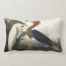 Search for bird pillows John james audubon
