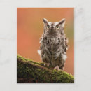 Search for sticker postcards Nature