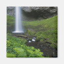 Search for oregon magnets Cascade