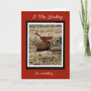 Search for red cardinal birthday cards Animal