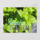 Search for recipe postcards Garden