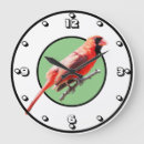 Search for cardinal clocks Wildlife