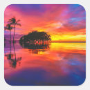 Search for hawaii stickers Coast