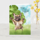 Search for french congratulations cards Pets