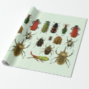Search for insect wrapping paper Bugs