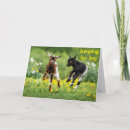 Search for funny nieces birthday cards Nephew