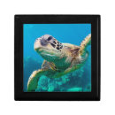 Search for turtle gift boxes Nautical
