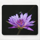 Search for zen mousepads Water lily