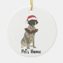 Search for german shorthaired pointer gifts dog