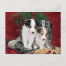Search for sheep christmas cards Puppies