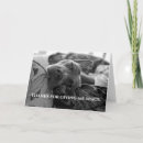 Search for pitbull thank you cards Thinking of you
