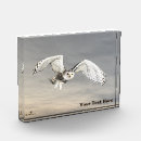 Search for snowy owl gifts Bird of prey