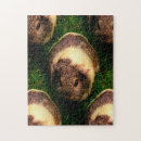 Search for guinea pig puzzles Cavy