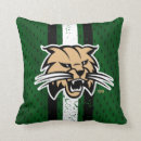 Search for sports jersey pillows College
