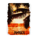 Search for jamaica magnets Ocean