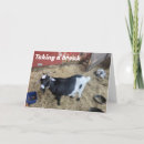 Search for funny co worker holiday cards Photography