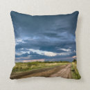 Search for santa fe pillows Horizontal