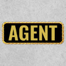 Search for fugitive recovery agent Investigator