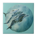 Search for dolphin tiles Fish
