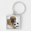 Search for great dane keychains Puppies
