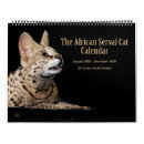 Search for cheetah calendars Leopard
