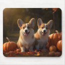 Search for corgi thanksgiving Autumn