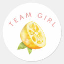 Search for gender reveal stickers Team girl