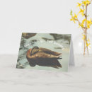 Search for belated birthday cards Nature