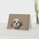 Search for 44th birthday cards Age