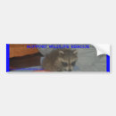 Search for raccoon bumper stickers Wild