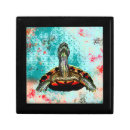 Search for turtle gift boxes Tortoise
