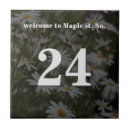 Search for house number tiles Street