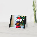 Search for doberman christmas cards Xmas