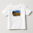 Search for fall kids tshirts toddler clothing Scenic