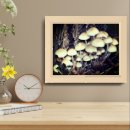 Search for mushroom art White