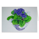 Search for african violet Botanical