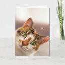 Search for new pet cat congratulations cards Cute