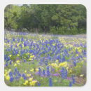 Search for bluebonnet crafts party Country
