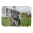 Search for pug bathroom accessories Black