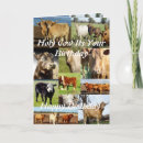 Search for holy cow birthday cards Cows