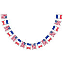 Search for wedding bunting flags Stars