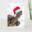 Search for turtle christmas cards Funny