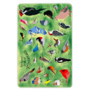 Search for flexible photo magnets Birds